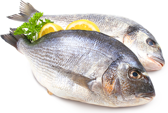 Рыба как источник заражения дифиллоботриозом